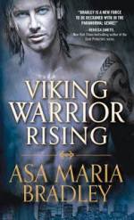 27 Viking Warrior Rising