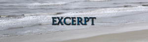 Excerpt